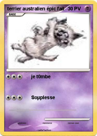 Pokemon terrier australien épic fail