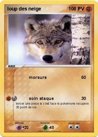 Pokemon loup des neige