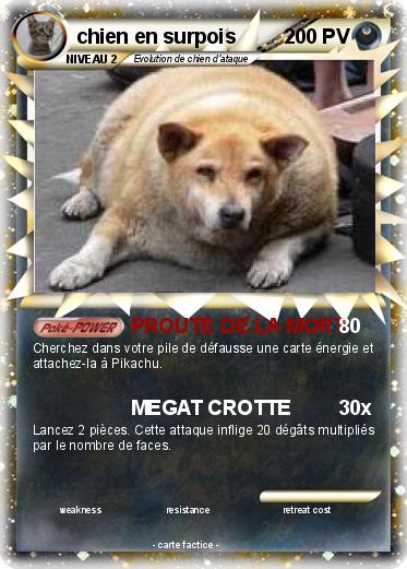 Pokemon chien en surpois