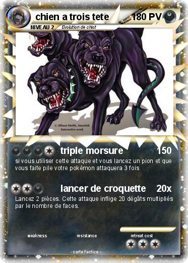 Pokemon chien a trois tete