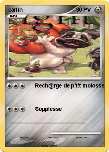 Pokemon carlin