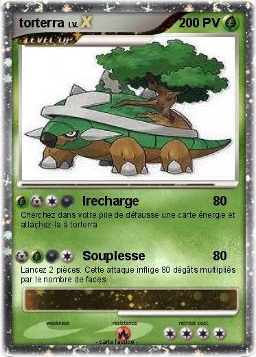 Pokemon torterra