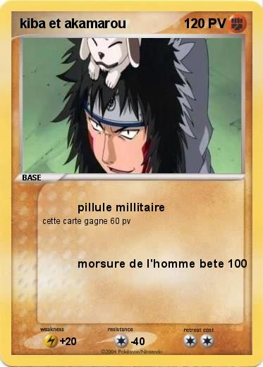 Pokemon kiba et akamarou         