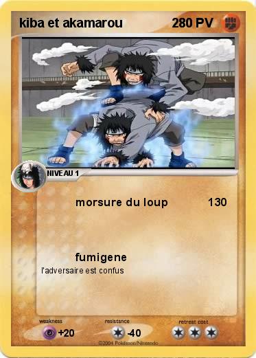 Pokemon kiba et akamarou              280
