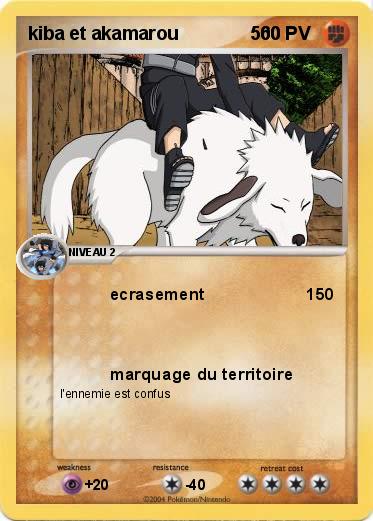 Pokemon kiba et akamarou              500