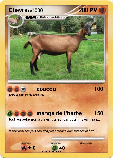 Pokemon Chévre