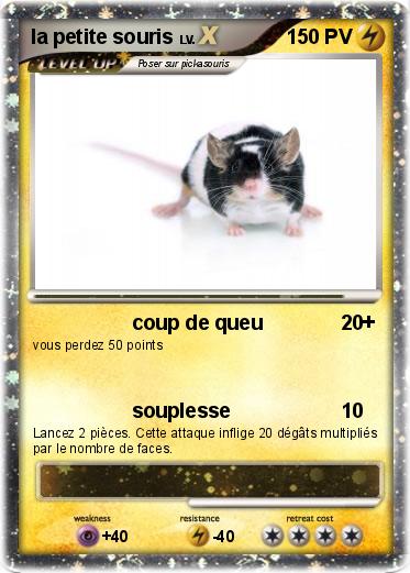 Pokemon la petite souris