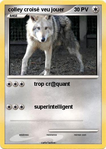 Pokemon colley croisé veu jouer