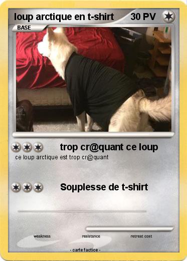 Pokemon loup arctique en t-shirt