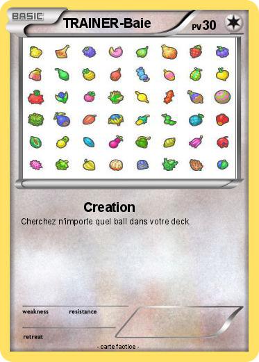 Pokemon TRAINER-Baie