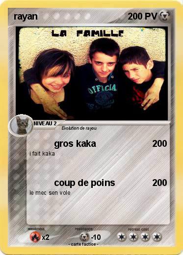 Pokemon rayan