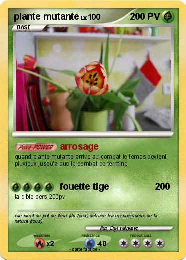 Pokemon plante mutante
