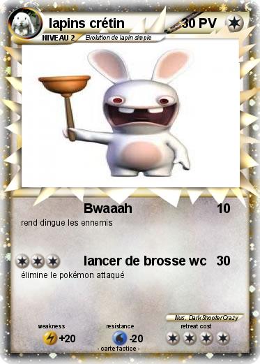 Pokemon lapins crétin
