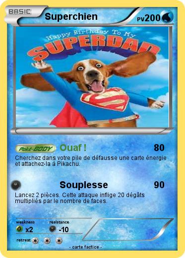 Pokemon Superchien