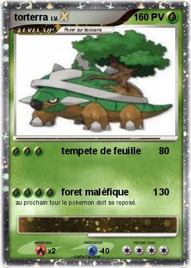 Pokemon torterra