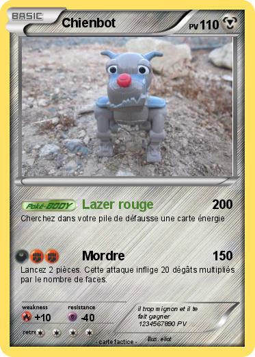 Pokemon Chienbot