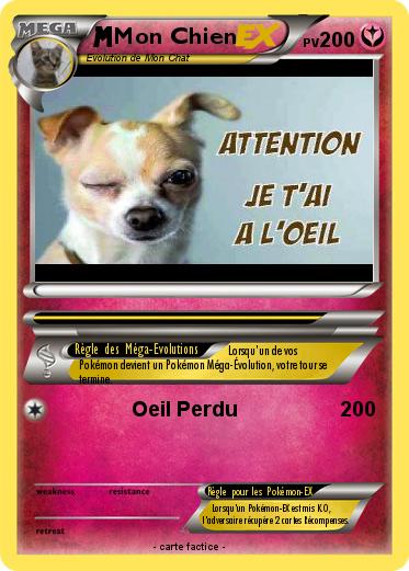 Pokemon Mon Chien