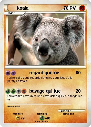 Pokemon koala