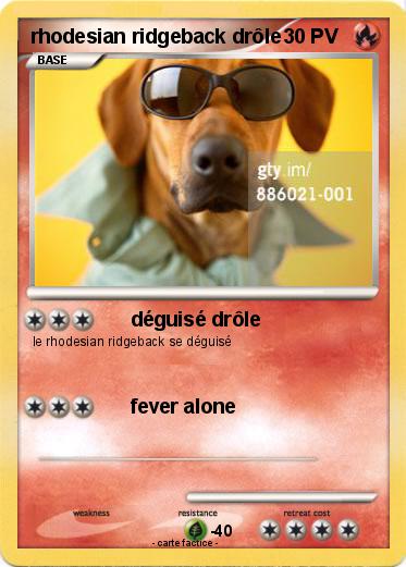Pokemon rhodesian ridgeback drôle