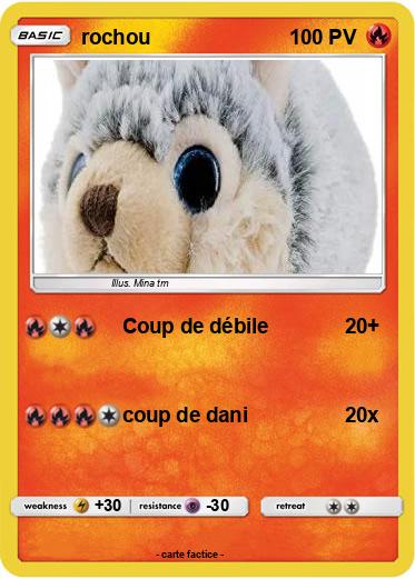 Pokemon rochou