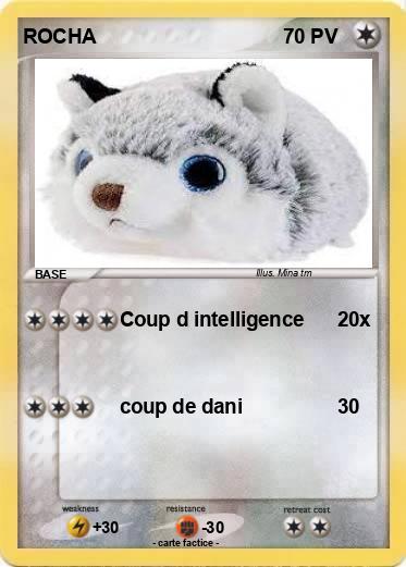 Pokemon ROCHA