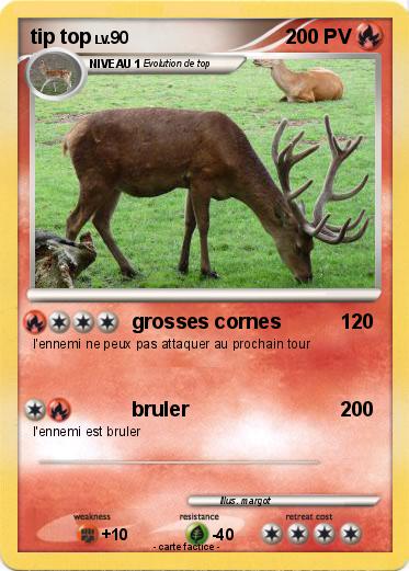 Pokemon tip top