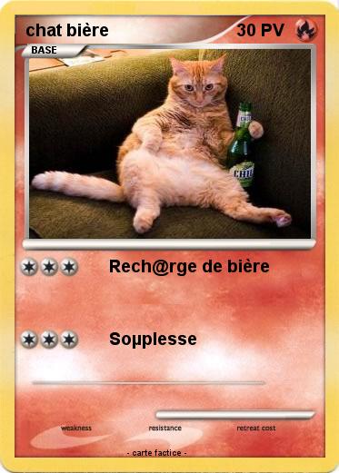 Pokemon chat bière