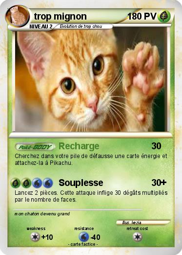 Pokemon trop mignon