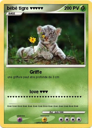 Pokemon bébé tigre ♥♥♥♥♥