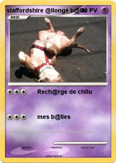 Pokemon staffordshire @llongé b@lls