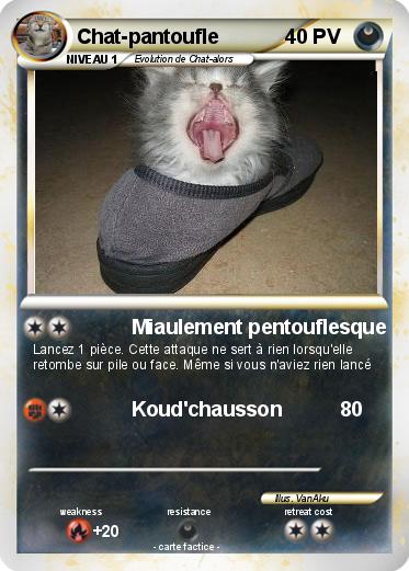Pokemon Chat-pantoufle
