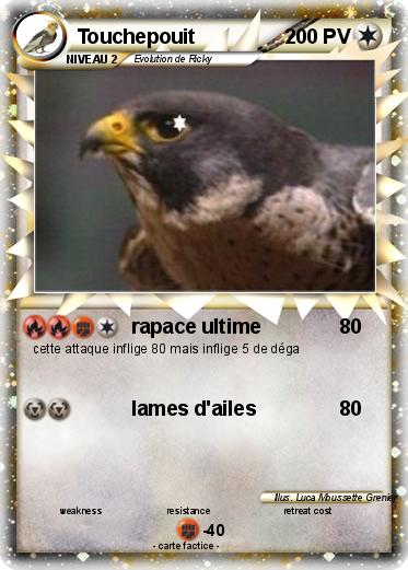 Pokemon Touchepouit