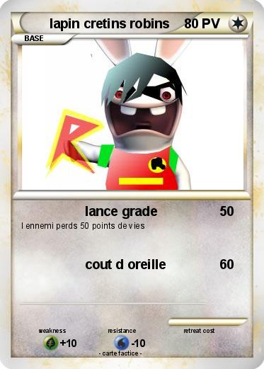 Pokemon lapin cretins robins