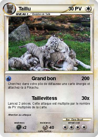 Pokemon Taillu