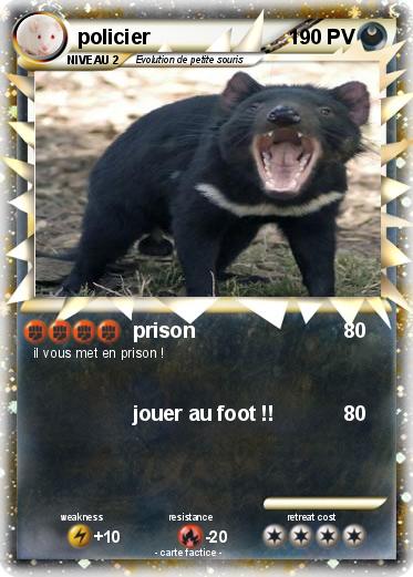 Pokemon policier