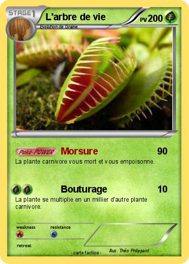 Pokemon L'arbre de vie