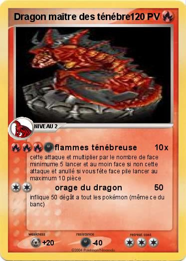 Pokemon Dragon maître des ténébre