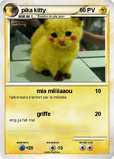 Pokemon pika kitty