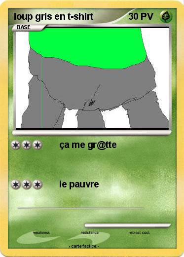 Pokemon loup gris en t-shirt