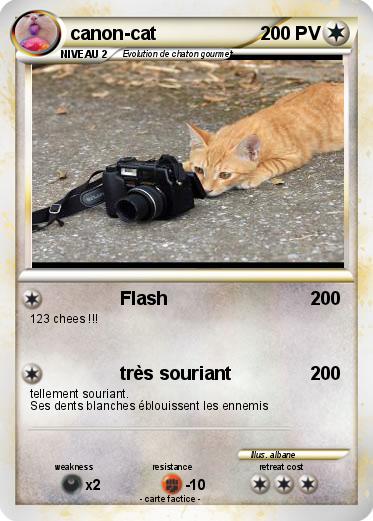 Pokemon canon-cat