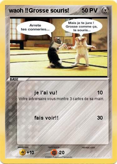 Pokemon waoh !!Grosse souris!
