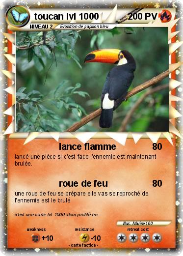 Pokemon toucan lvl 1000