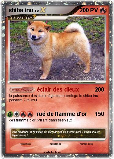 Pokemon shiba inu