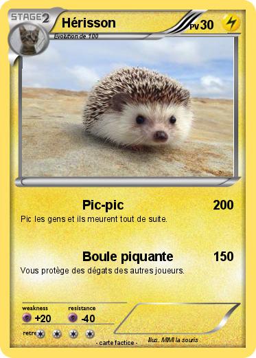 Pokemon Hérisson