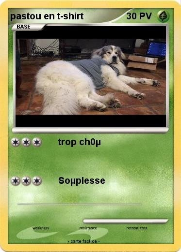 Pokemon pastou en t-shirt