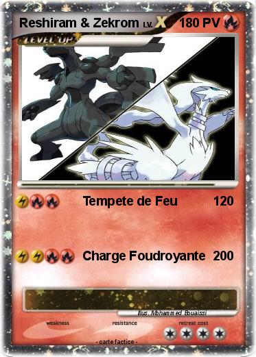 Pokemon Reshiram & Zekrom
