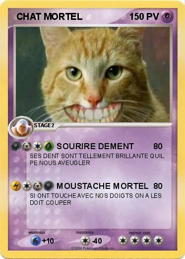 Pokemon  CHAT MORTEL