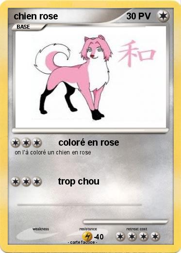 Pokemon chien rose