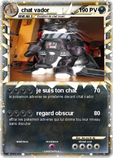 Pokemon chat vador