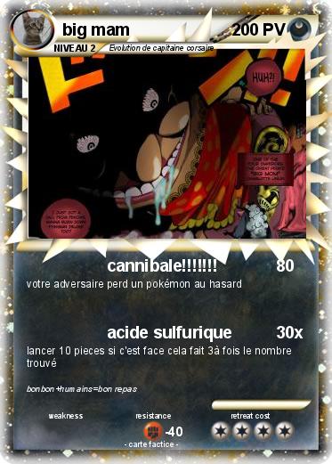 Pokemon big mam